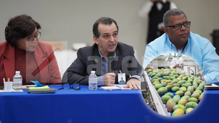 Agricultura refuerza controles fitosanitarios tras suspensión de exportaciones de mango hacia Estados Unidos Agricultura refuerza controles fitosanitarios tras suspensión de exportaciones de mango hacia Estados Unidos