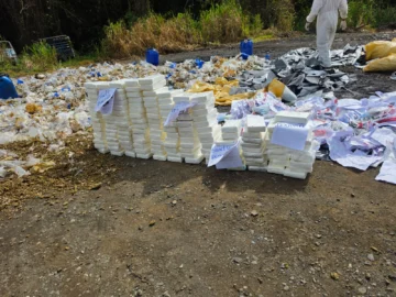 Inacif destruye más de una tonelada de drogas