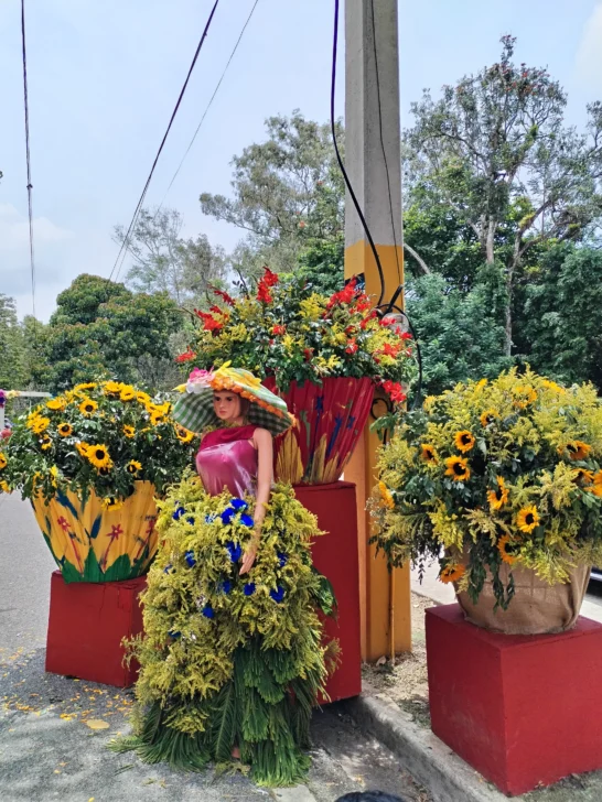 Festival de las Flores, Jarabacoa 2026