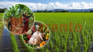 ¿Cómo se forma el precio de los alimentos en República Dominicana? ¿Cómo se forma el precio de los alimentos en República Dominicana?
