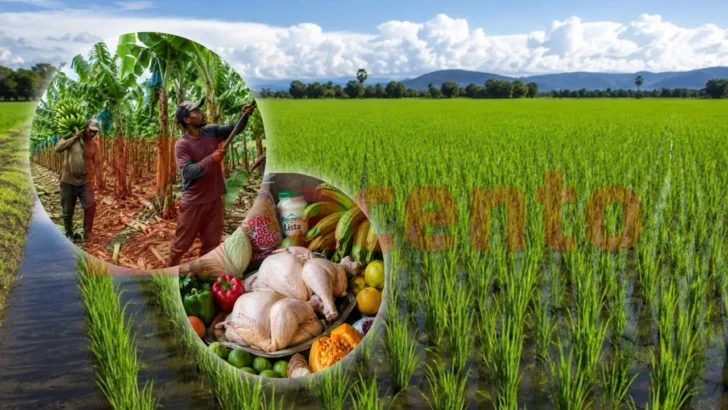 ¿Cómo se forma el precio de los alimentos en República Dominicana? ¿Cómo se forma el precio de los alimentos en República Dominicana?