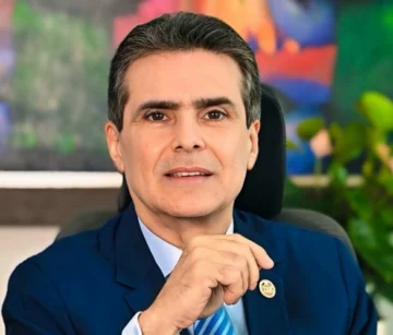 Elecciones partidarias Elecciones partidarias