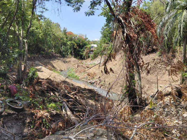Ambientalistas ponen ojos críticos en proyecto parque lineal del Ayuntamiento