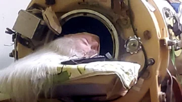 La mujer que vivió 73 años metida varias horas al día en un pulmón de acero que le permitía respirar La mujer que vivió 73 años metida varias horas al día en un pulmón de acero que le permitía respirar