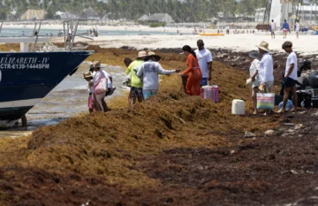 El sargazo en las playas preocupa en República Dominicana, una potencia turística caribeña El sargazo en las playas preocupa en República Dominicana, una potencia turística caribeña