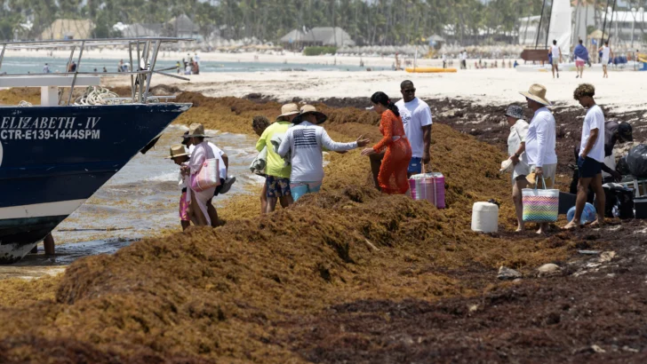 El sargazo en las playas preocupa en República Dominicana, una potencia turística caribeña