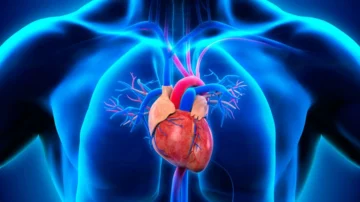 Vinculan falta de sueño y aumento de peso con riesgo cardiometabólico