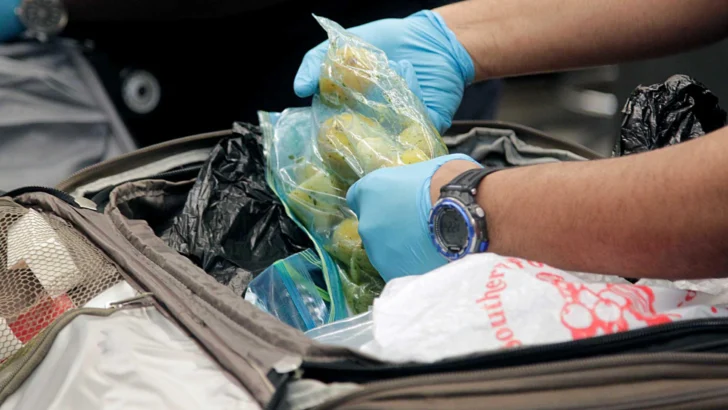 Embajada EEUU recuerda prohibición ingresar carne de cerdo desde RD Embajada EEUU recuerda prohibición ingresar carne de cerdo desde RD