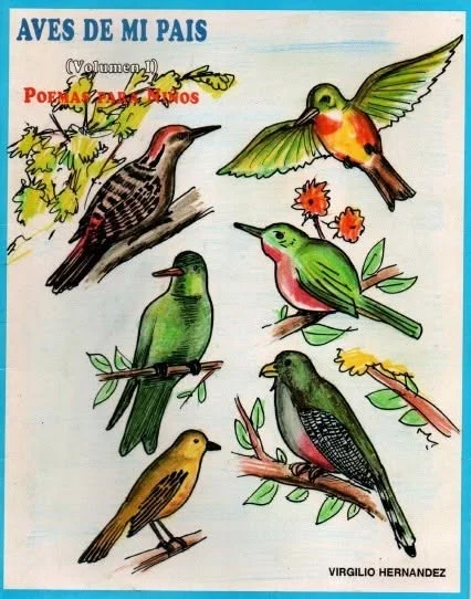 Andrés Acevedo analiza la poesía de Virgilio Hernández, también poeta infantil dominicano