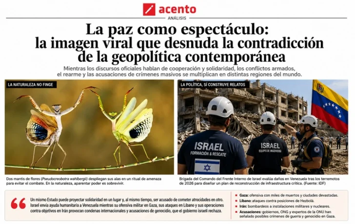 La foto verdadera más falsa: la guerra disfrazada, como las mantis del ballet