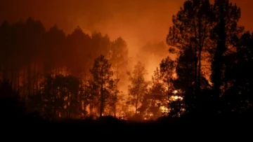 Croacia, Francia, Alemania, España: nueva oleada de incendios mientras el calor extremo obliga a evacuar a miles