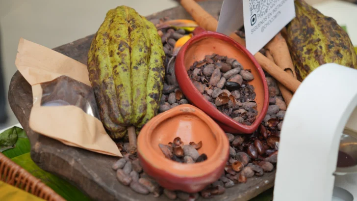 Cacao dominicano alcanza US$669 millones en exportaciones y será eje del Festival del Chocolate