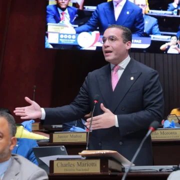 Mariotti propone interpelar a administradores de las distribuidoras eléctricas