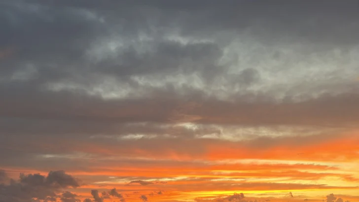 El resplandor de la poesía: una forma de vida El resplandor de la poesía: una forma de vida