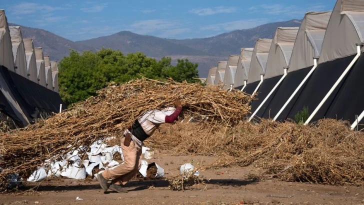 El Niño es una amenaza para los trabajadores en América Latina