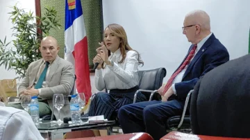Artículo 20 de la Constitución abre debate sobre los derechos de los dominicanos en el exterior Artículo 20 de la Constitución abre debate sobre los derechos de los dominicanos en el exterior