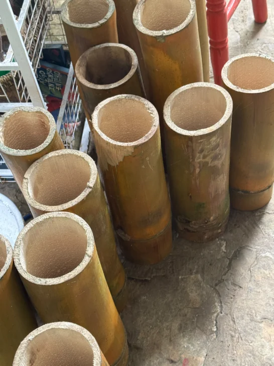 Crónica de un viaje hacia un sueño cumplido:  Visita a la Casa Taller de Desirée Cepeda