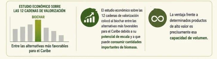 Del barco recolector al biochar: lo que realmente sirve frente el sargazo