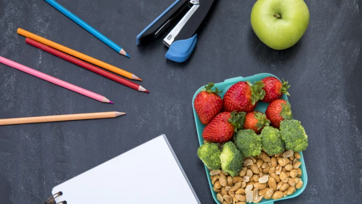¿Qué poner en la lonchera? Guía para alimentar mejor a los niños durante el año escolar