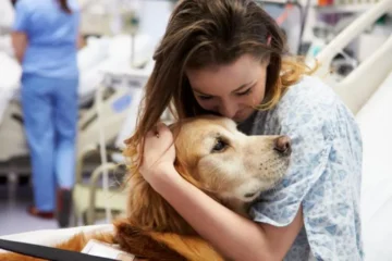 Terapia con animales puede aumentar la movilidad y participación de pacientes tras un ACV
