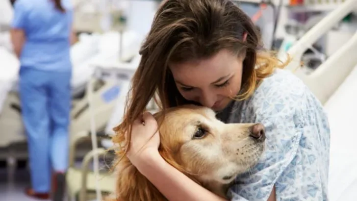 Terapia con animales puede aumentar la movilidad y participación de pacientes tras un ACV