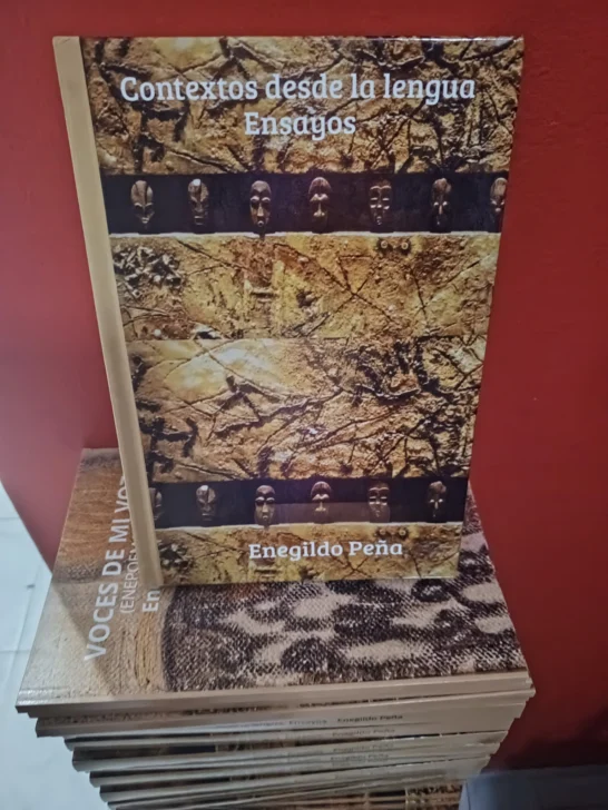 Contextos desde la lengua. La lingüística y sus alcances