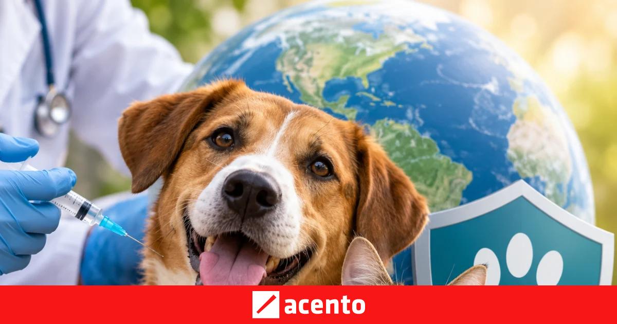 Qué se celebra hoy en el mundo? Efemérides del 28 de septiembre: hechos y conmemoraciones de esta fecha