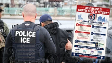 Difunden guía en español para migrantes sobre qué hacer ante detenciones de ICE Difunden guía en español para migrantes sobre qué hacer ante detenciones de ICE