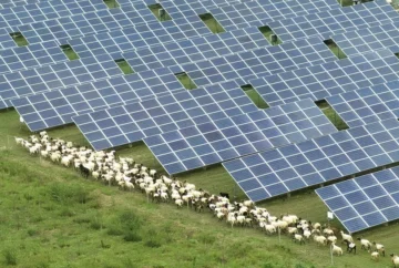 Energías renovables ganan terreno, pero deben acelerar el paso