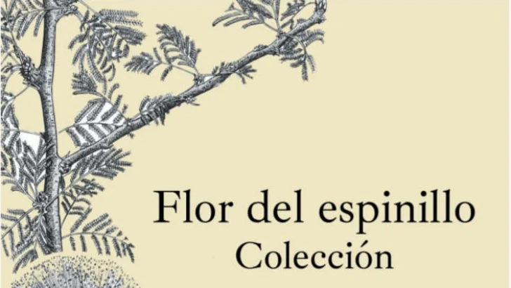 Enrique Solinas: 