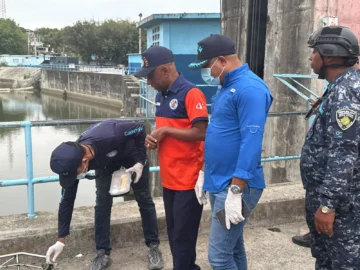 Se ahoga adolescente mientras se bañaba en el río Yaque del Norte Se ahoga adolescente mientras se bañaba en el río Yaque del Norte