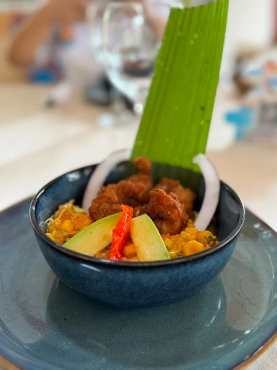 Samaná pone en valor su gastronomía local con la tercera edición de “Plato del Verano” Samaná pone en valor su gastronomía local con la tercera edición de “Plato del Verano”