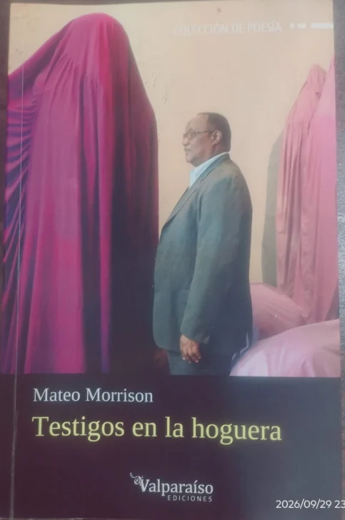 'Testigos en la hoguera', de Mateo Morrison: humanología