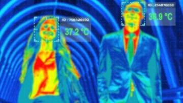 Por qué tenemos sangre caliente y qué ventajas tiene sobre la sangre fría