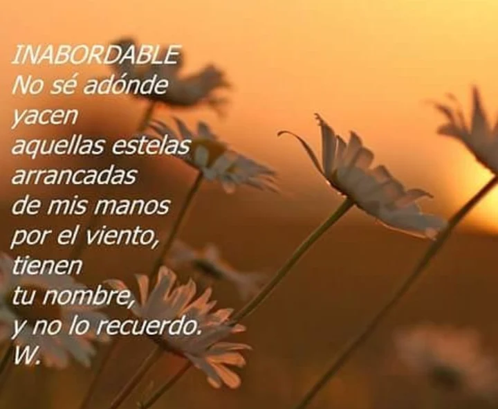 El silencio como espacio de participación en la fotopoesía de William Acevedo