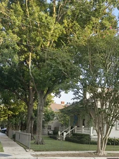 New Orleans: la ciudad que se deja escribir