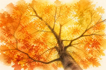 Inicio del otoño