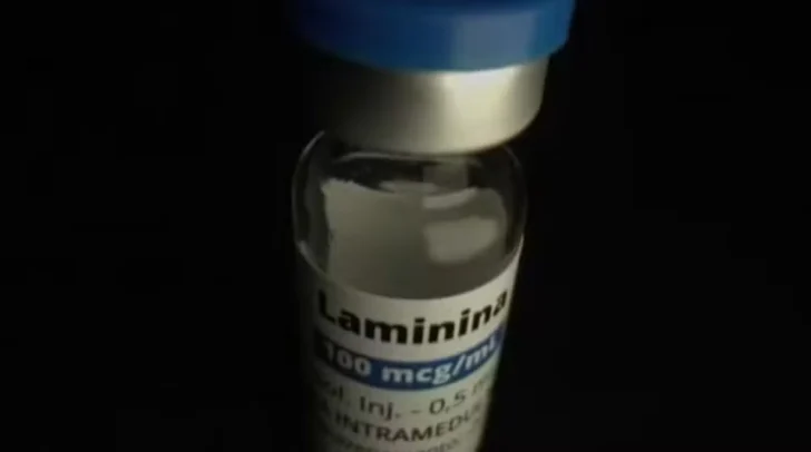 polilaminina-4-728x406