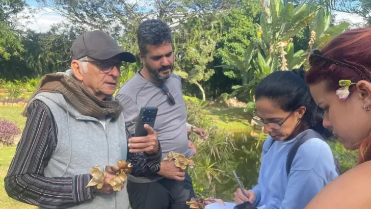 Festival de Cine de La Habana tendrá a Brasil como protagonista y debatirá el impacto de la IA