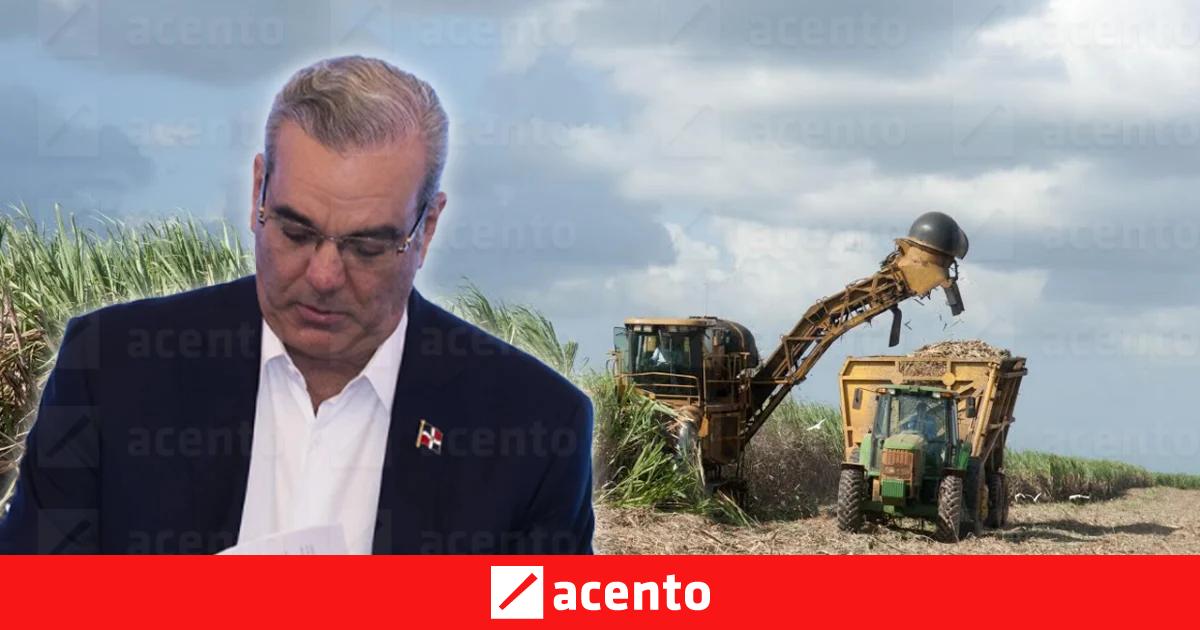 Abinader emite decreto que regula la zafra azucarera 2026-2027 y ...