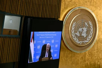Miles marcharon hoy en apoyo a palestinos, que irán a elecciones en septiembre de 2027