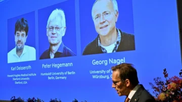 Dos alemanes y un estadounidense se llevan el Nobel de Medicina por avances en optogenética