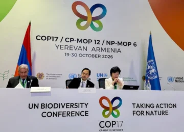 Nuevos compromisos sobre biodiversidad en la COP17, pero con déficit de financiación Nuevos compromisos sobre biodiversidad en la COP17, pero con déficit de financiación