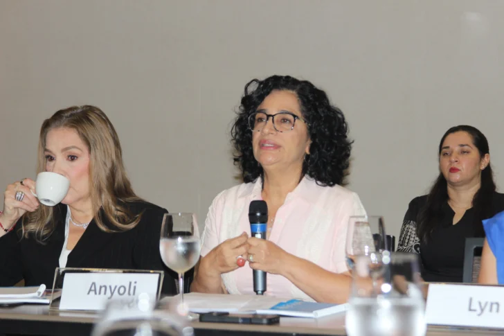 IMG_8937-728x485 Anyoli Sanabria López, representante adjunta y actual representante interina del Fondo de las Naciones Unidas para la Infancia (UNICEF) en República Dominicana. Foto Ronny Cruz