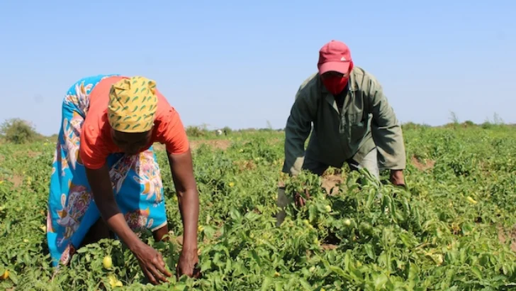 La explotación laboral, el costo oculto de los alimentos en el mundo La explotación laboral, el costo oculto de los alimentos en el mundo
