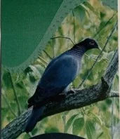 La naturaleza enseña a defender la vida