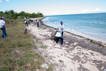 Seaboard realiza un operativo de recogida de desechos sólidos en el Santuario de Mamíferos Marinos de Manatí Seaboard realiza un operativo de recogida de desechos sólidos en el Santuario de Mamíferos Marinos de Manatí