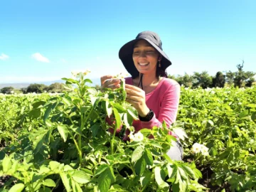 Agricultura beneficia a más de 4,700 mujeres rurales con programas de apoyo al sector agropecuario