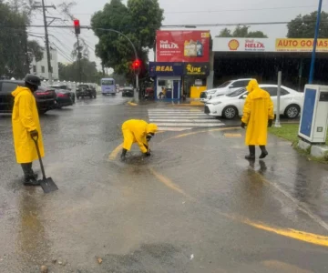 Alcaldía del Distrito Nacional despliega más de 500 brigadistas para mitigar efectos de las lluvias Alcaldía del Distrito Nacional despliega más de 500 brigadistas para mitigar efectos de las lluvias