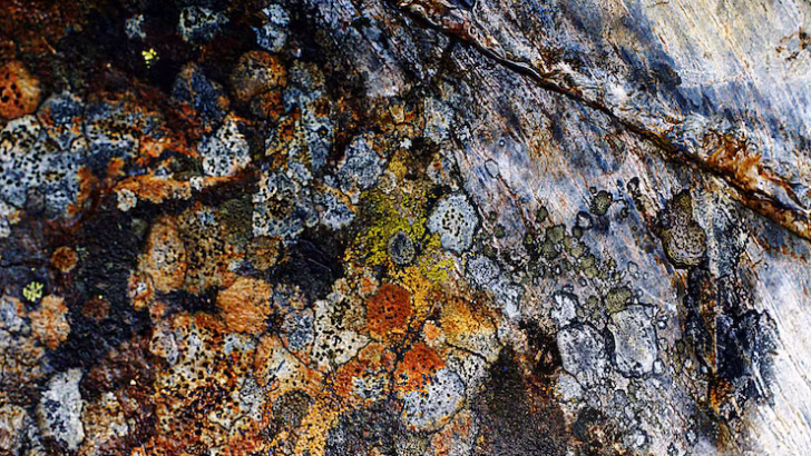 América Latina queda entre EE. UU. y China en la disputa por minerales y seguridad energética